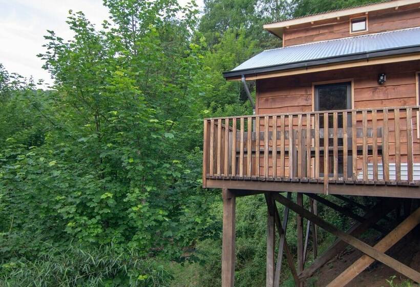 ホテル Entre Pampa Y Bosque