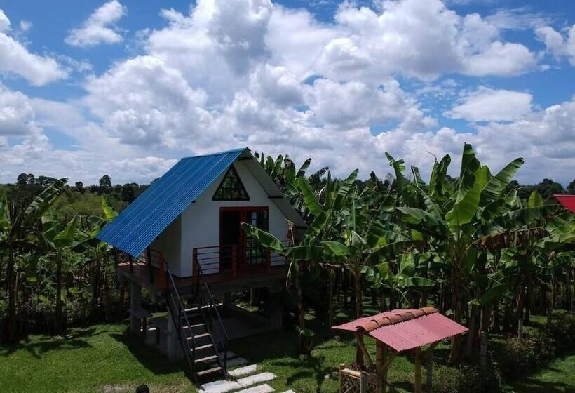 호텔 Finca Ecoturistica La Argelia