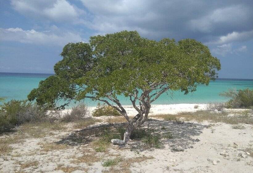 فندق Glamping Ecolodge Cueva De Las águilas