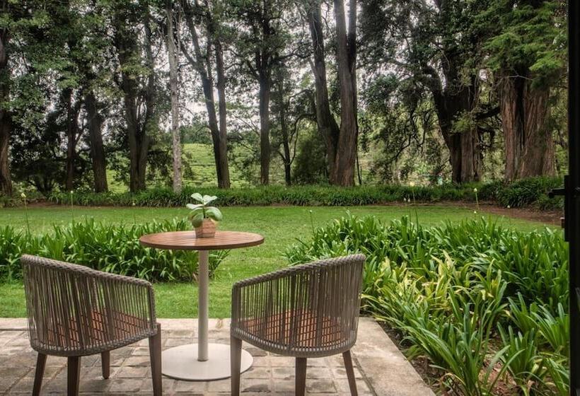 בית מלון כפרי Goatfell