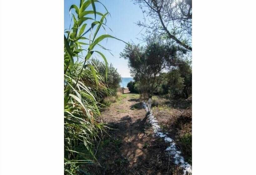 호텔 Golden Sand Apartments