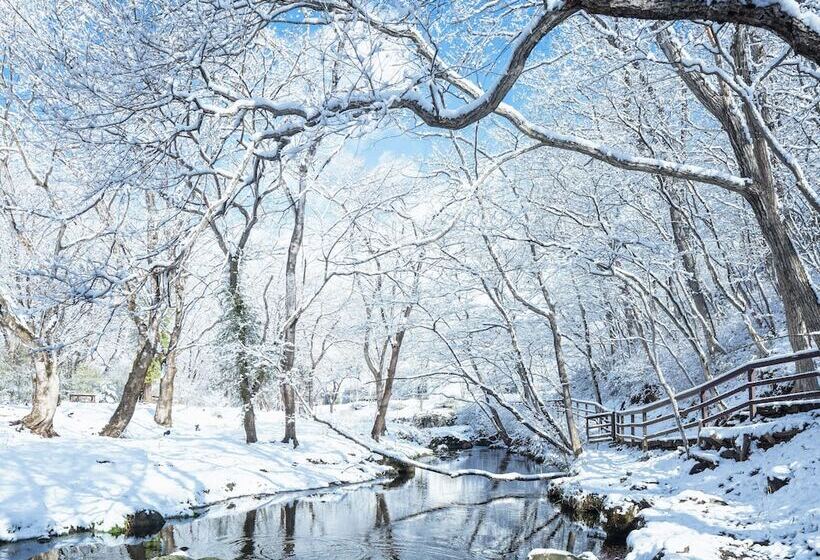 فندق Hoshino Resorts Risonare Nasu