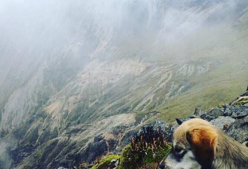 酒店 Hostal Casa Aida