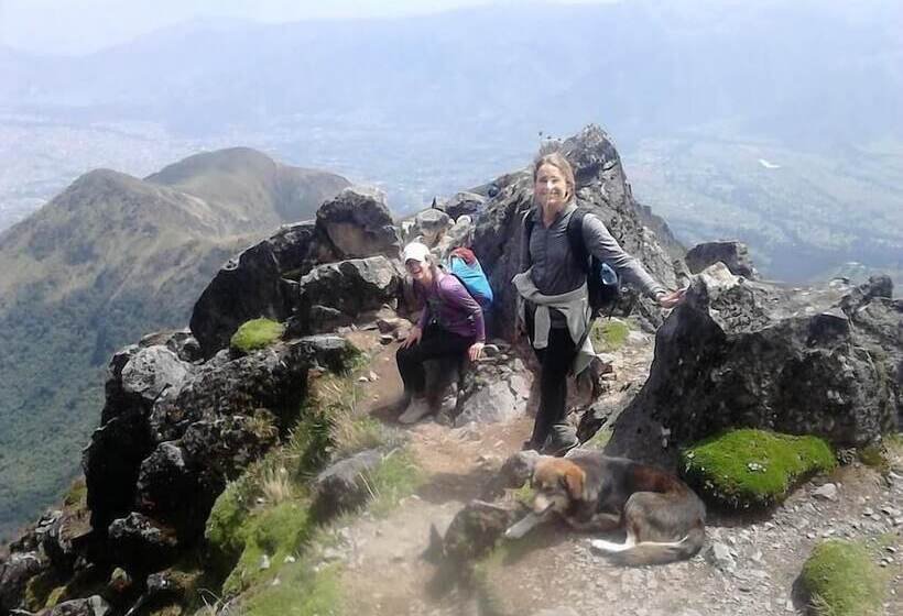 酒店 Hostal Casa Aida