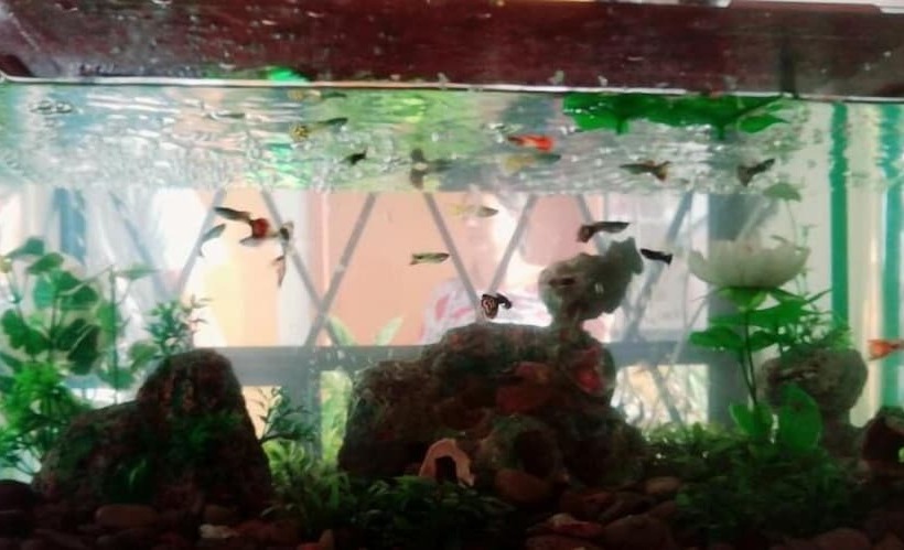 בית מלון כפרי Hostal Mariscal Sucre