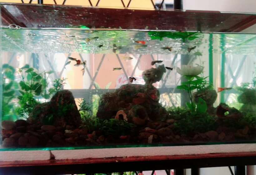 בית מלון כפרי Hostal Mariscal Sucre