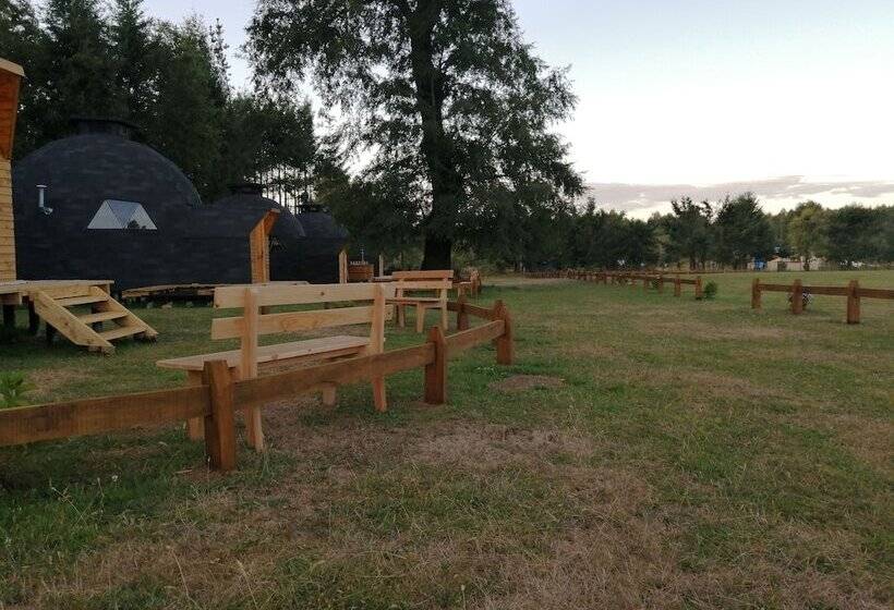 Отель Huincacara Lodge