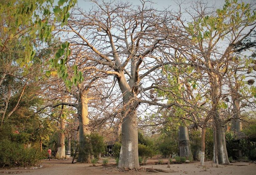 هتل Jerreh Camp Lodge