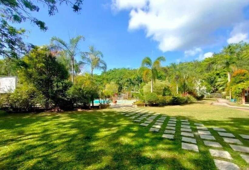 فندق Momarco Forest Cove Resort And