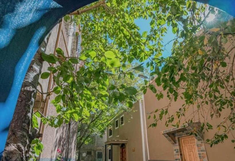 בית מלון כפרי Mount Toubkal Lodge