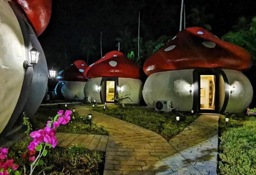 فندق Mushrooms Inn