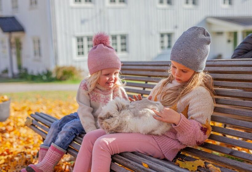 酒店 Piltingsrud Gards