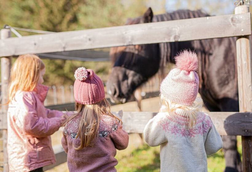 酒店 Piltingsrud Gards