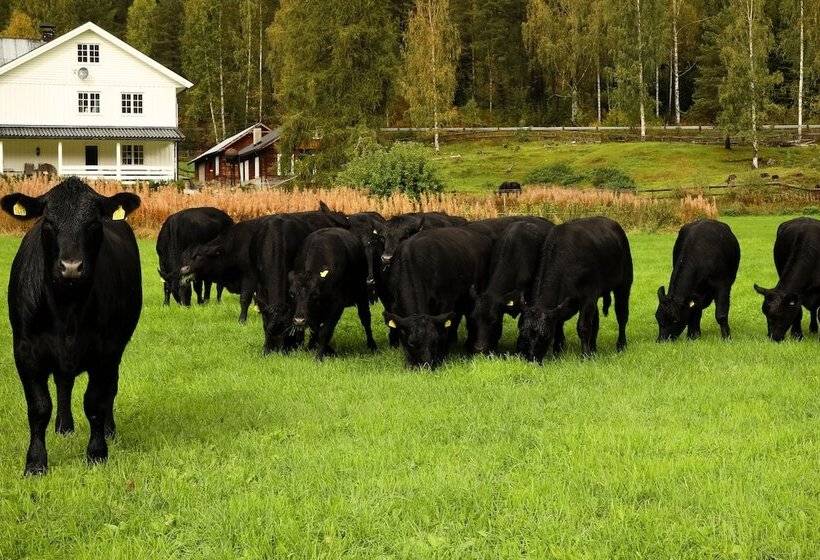 酒店 Piltingsrud Gards