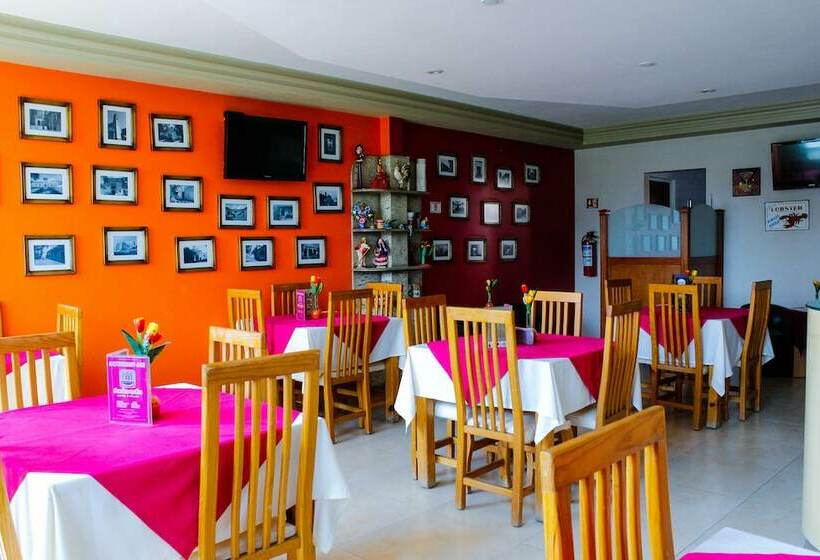 فندق Plaza Fontesanta