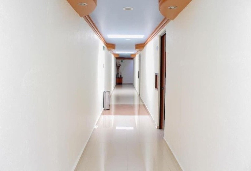 فندق Plaza Fontesanta