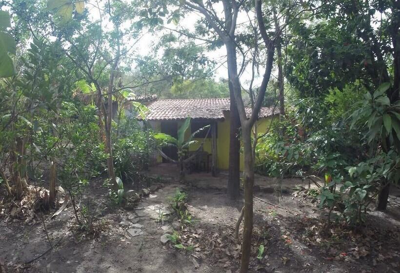 בית מלון כפרי Pousada Casa Na Roça