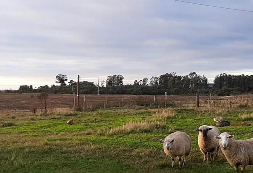 فندق Pousada Do Pampa