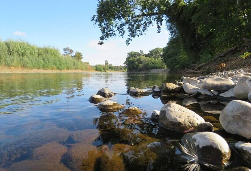 Отель Quintre Lodge