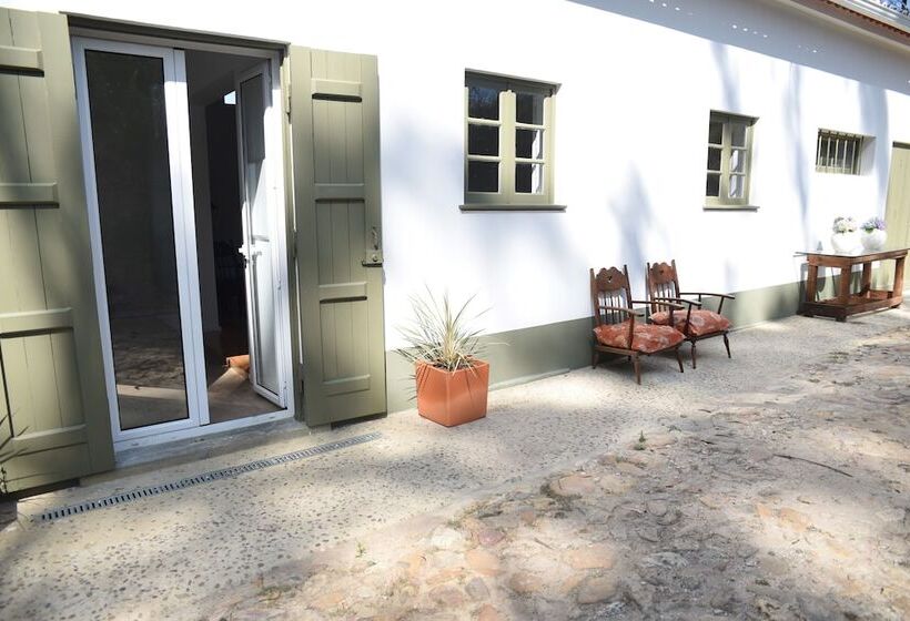 田舎風ホテル Vumba   The Alembic