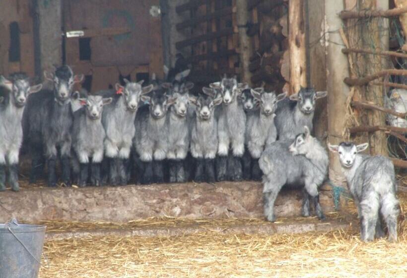 田舎風ホテル Vumba   The Bue Maria Suite