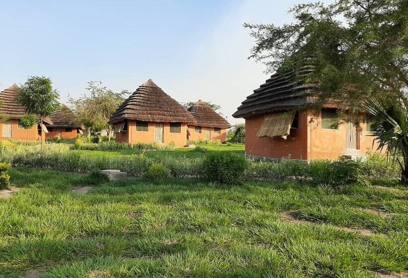 هتل Tangi Safaris Lodge