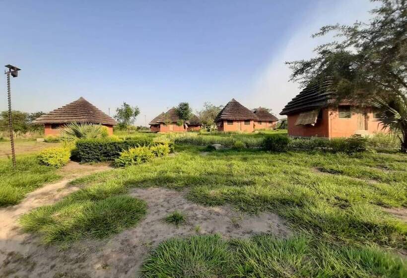 هتل Tangi Safaris Lodge