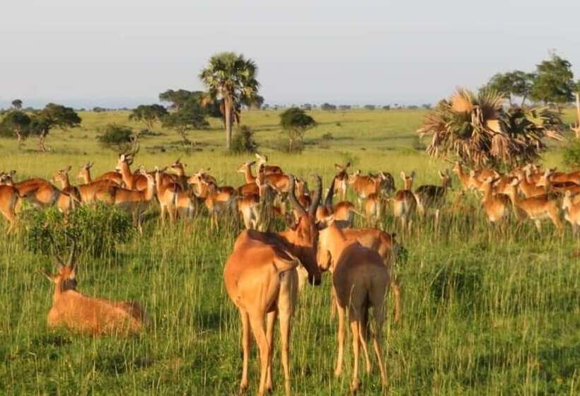 هتل Tangi Safaris Lodge