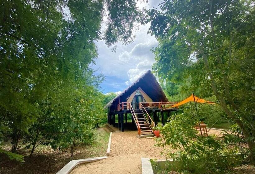 ホテル Thamaravila Wilpattu Luxury Tented Villa