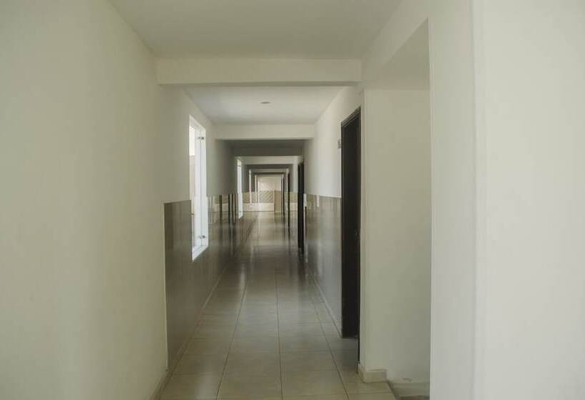 호텔 Winsor Fonseca