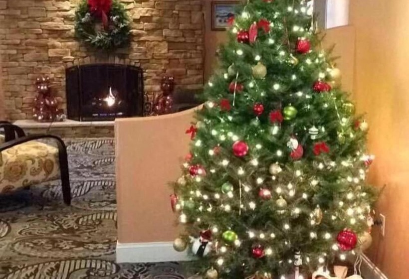 モーテル Golden Apple Inn