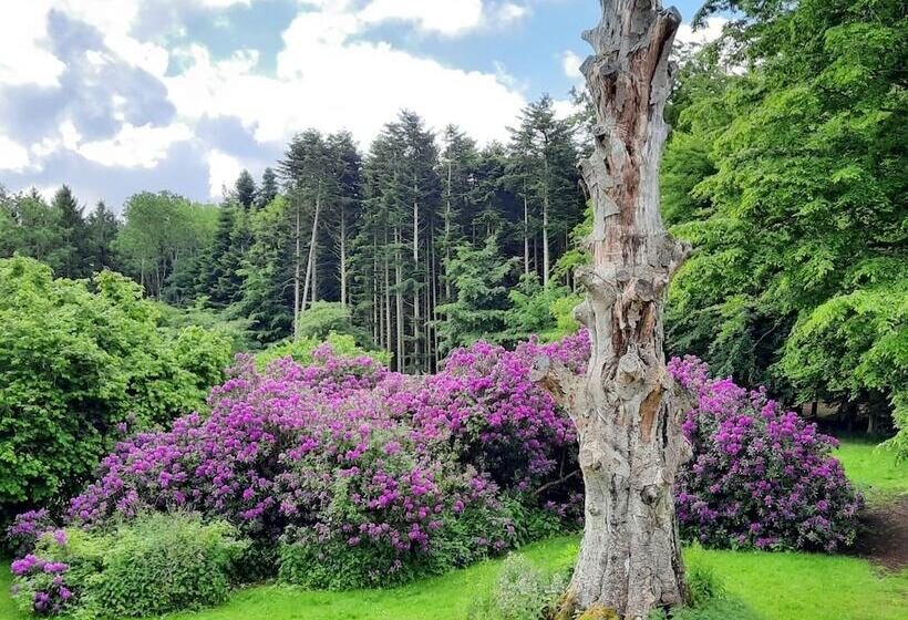 Pederstrup Bed And Breakfast