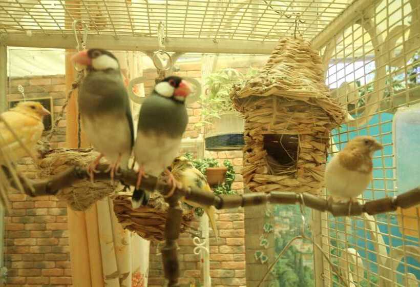 پانسیون Apartments Anita