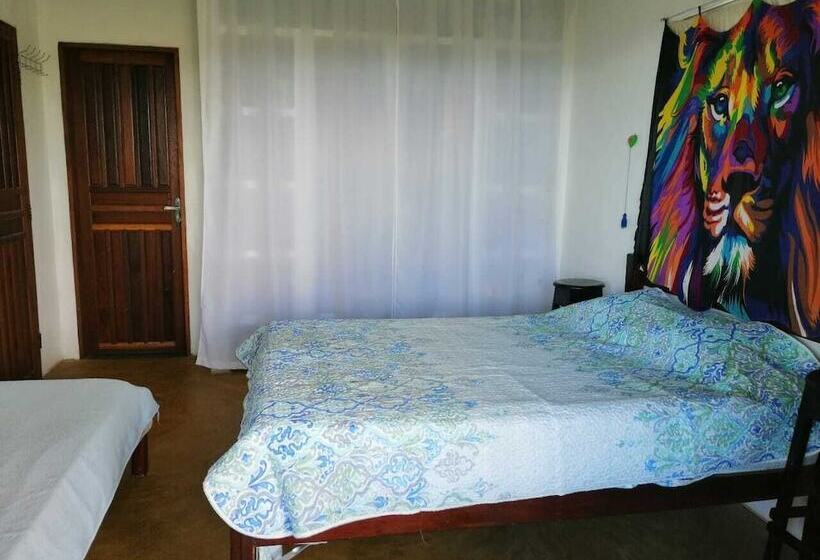 Пансион Casa Zulú Pura Vida