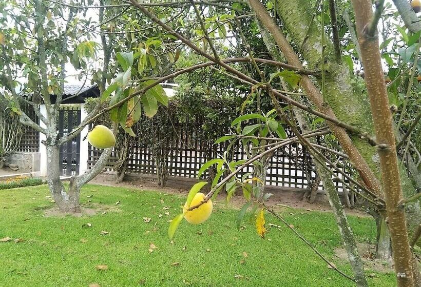 פנסיון Chesters B&b