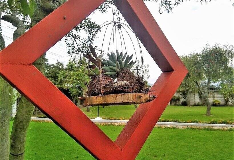 פנסיון Chesters B&b