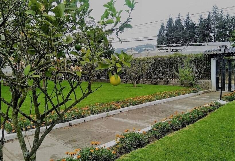 פנסיון Chesters B&b