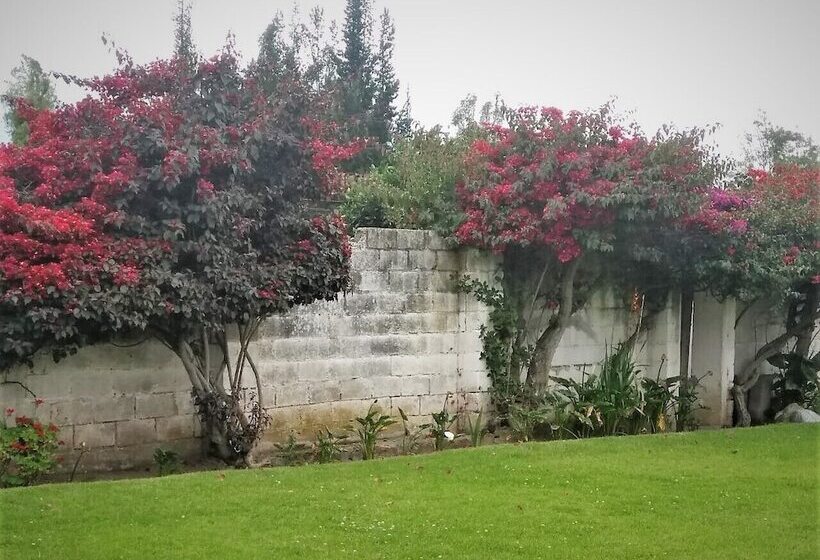 פנסיון Chesters B&b