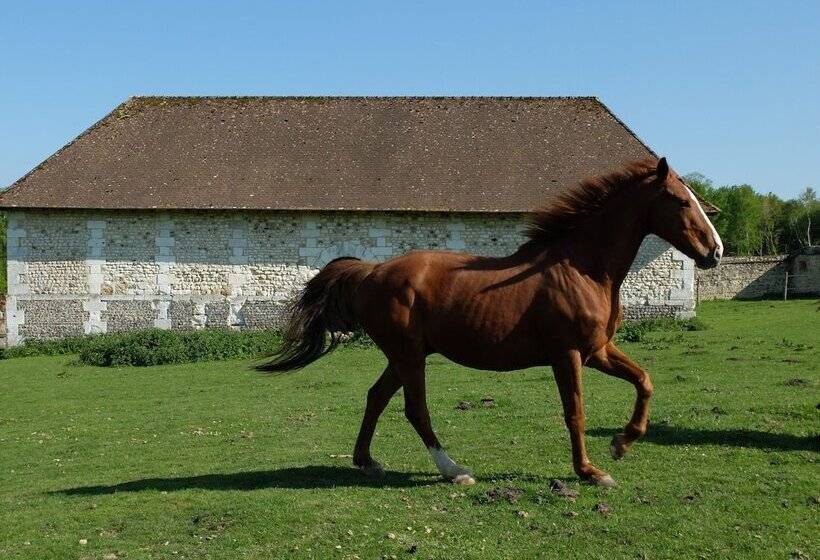 Пансион Le Pommier Doux, Maison D Hôte Du Domaine Du Château D Argeronne