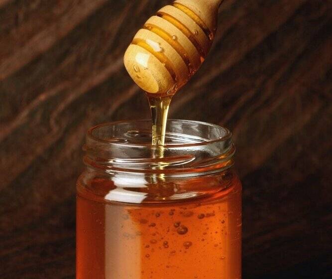 Пансион Le Pommier Doux, Maison D Hôte Du Domaine Du Château D Argeronne