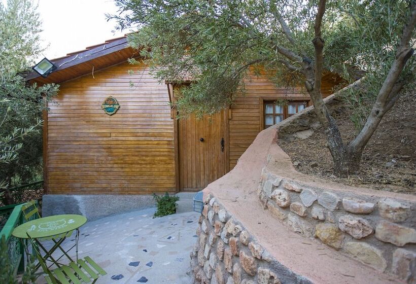 پانسیون Dar Zayane