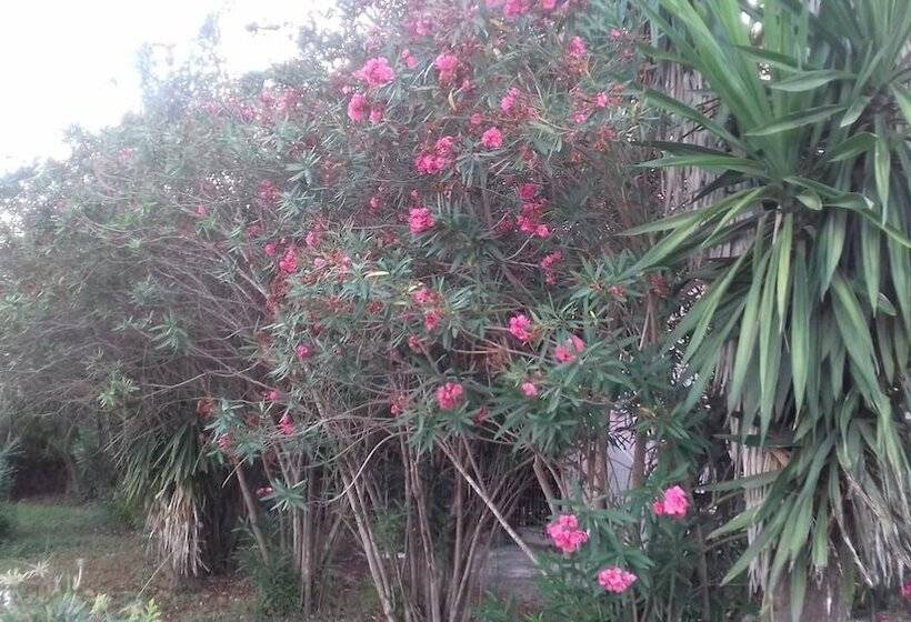 ペンション Full House Kavos