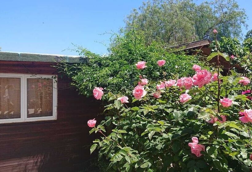 بنسيون Green Bungalow