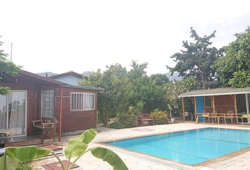 بنسيون Green Bungalow