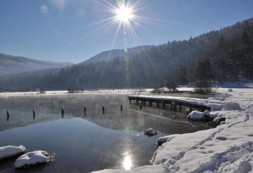 پانسیون Green Point