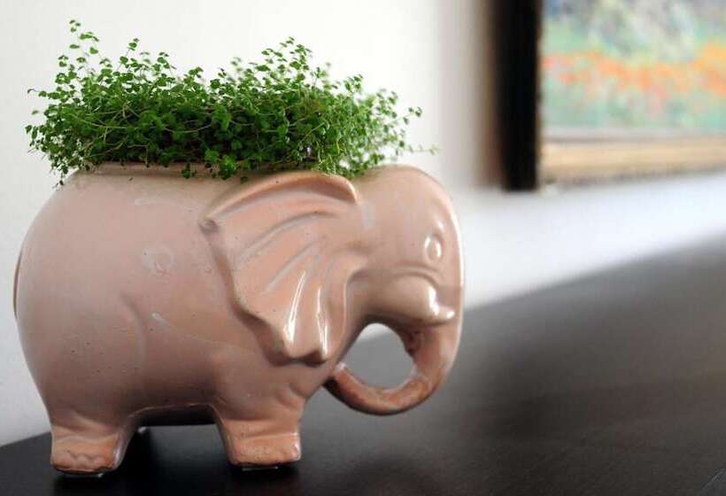 پانسیون Green Point