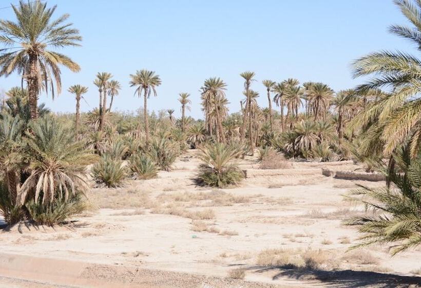 膳宿费 Kasbah Panorama Oasis