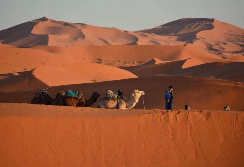 膳宿费 Kasbah Panorama Oasis