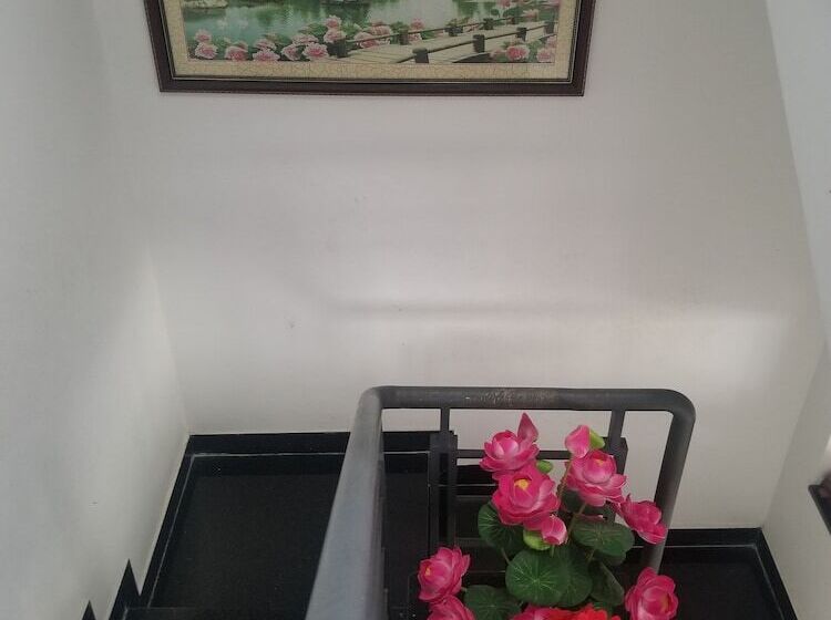 پانسیون Lotus Home Nha Trang