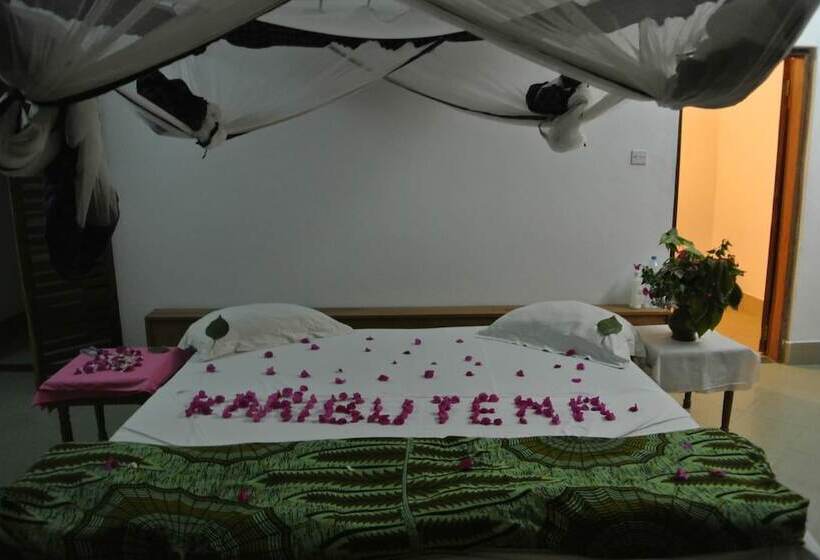 פנסיון Mike S Beach Cottages